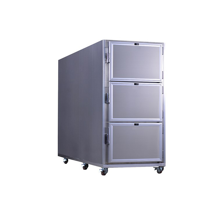 Body Mortuary Morgue Chamber Body Mortuary Morgue Chamber
