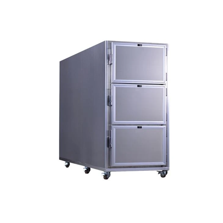 Dead Body Mortuary Morgue Chamber Dead Body Mortuary Morgue Chamber