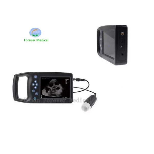 ultrasound handheld device